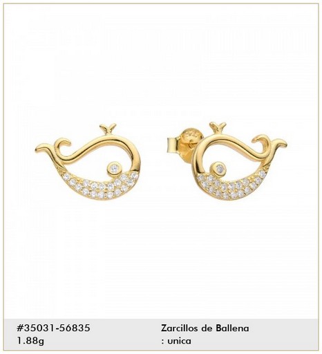 ARETES DE PLATA 925 