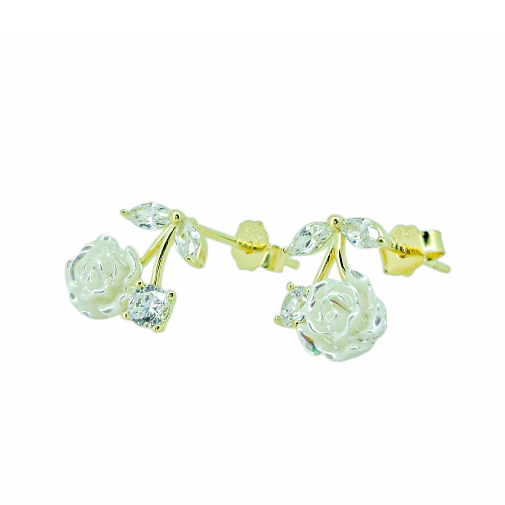 ARETES DE PLATA