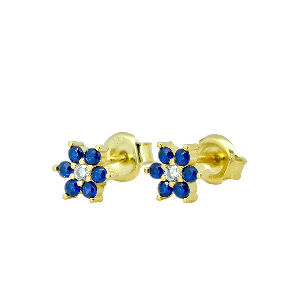ARETES DE PLATA