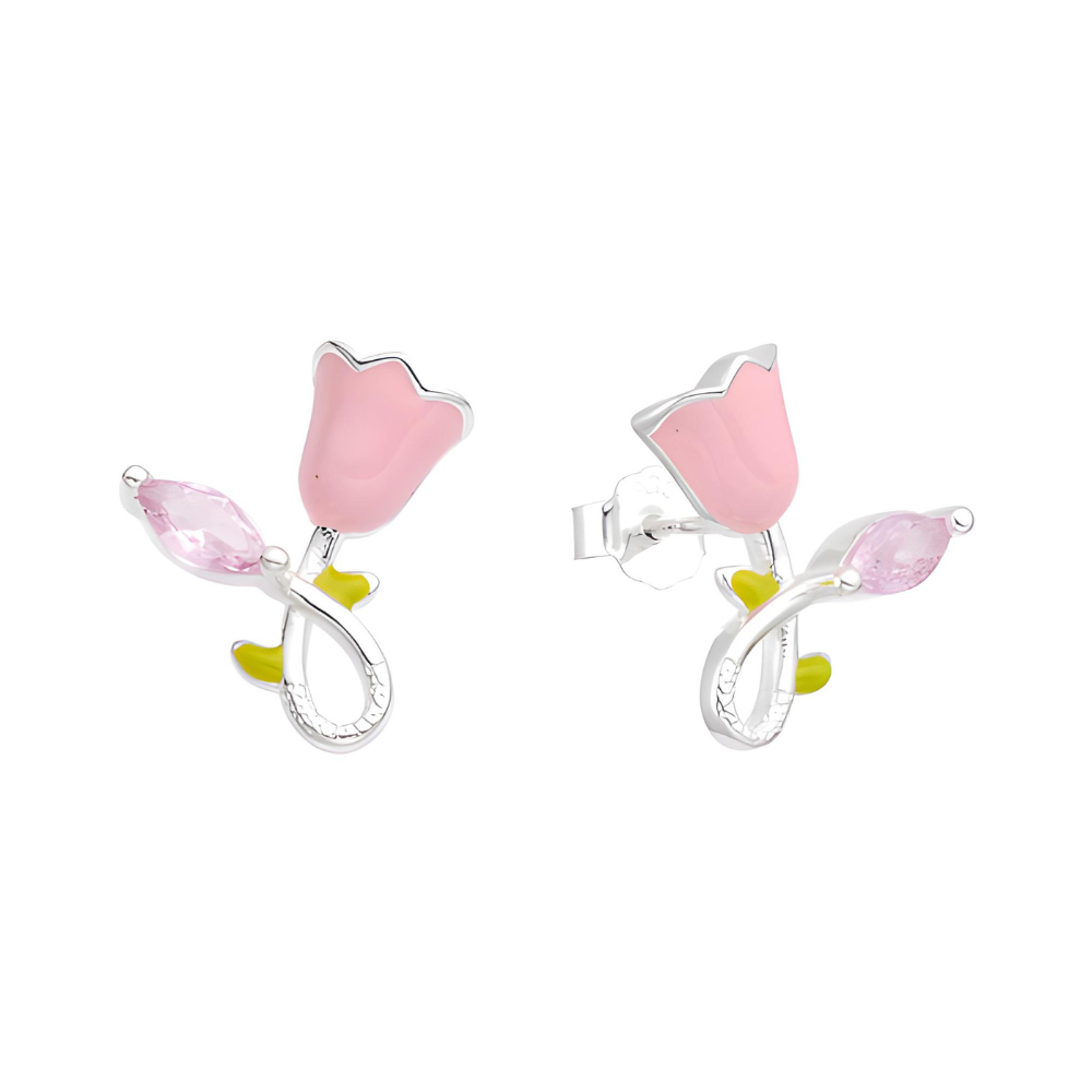 ARETES DE PLATA
