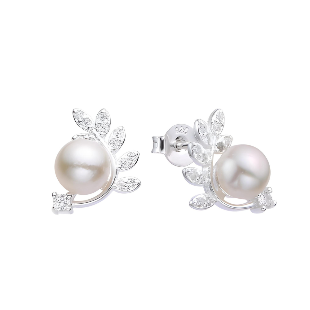 ARETES DE PLATA