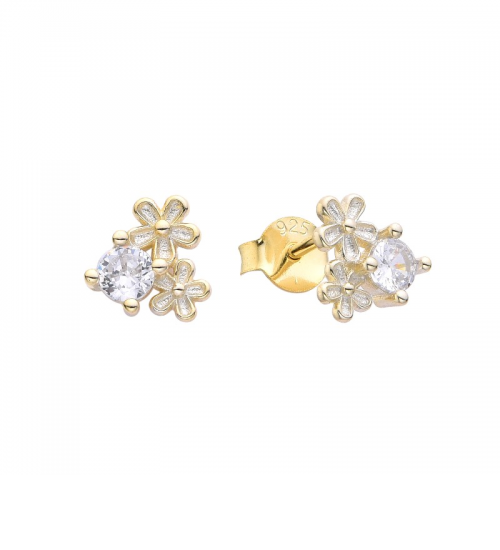 ARETES DE PLATA