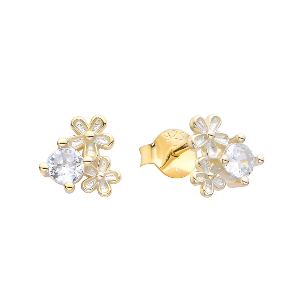 ARETES DE PLATA