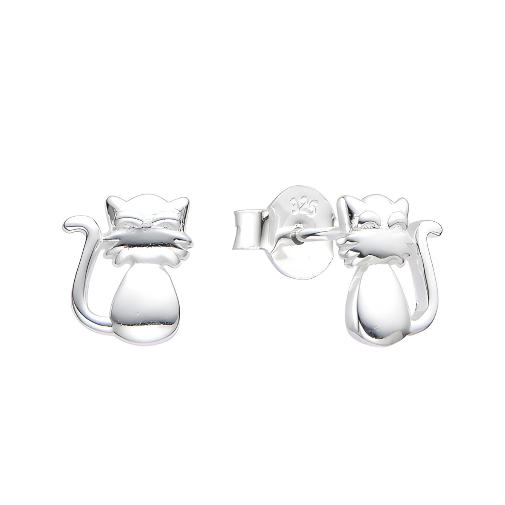 ARETES DE PLATA