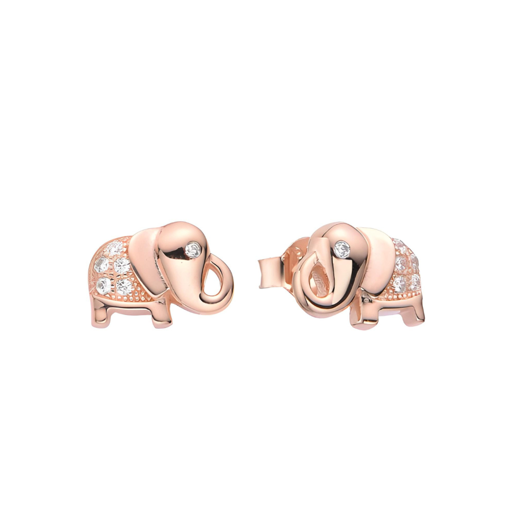 ARETES DE PLATA