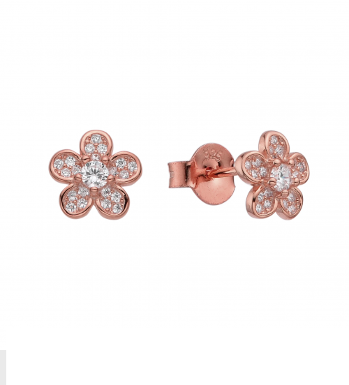 ARETES DE PLATA