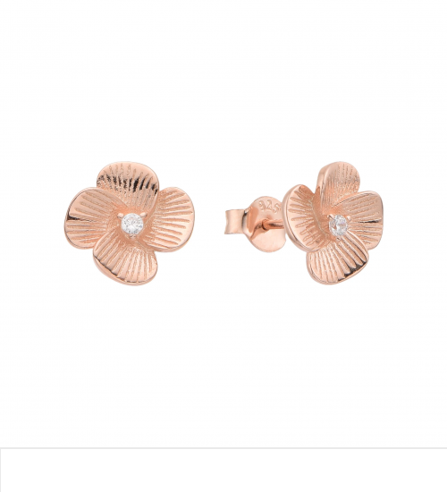 ARETES DE PLATA