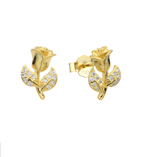 ARETES DE PLATA