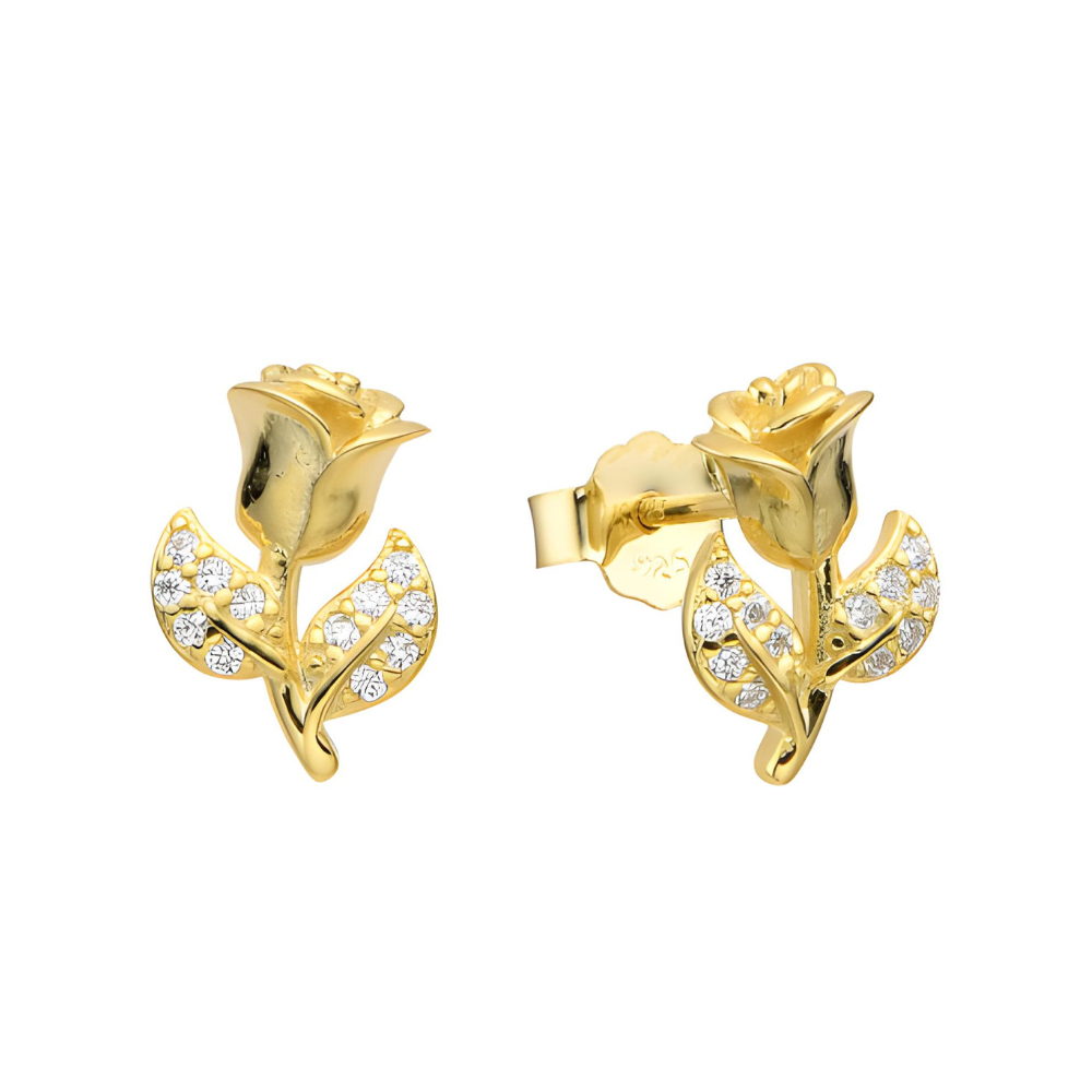 ARETES DE PLATA